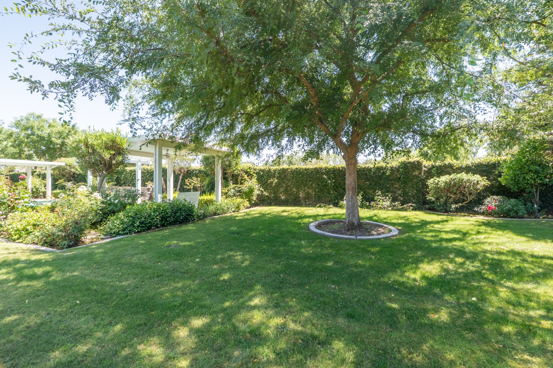 2911 Ragland Ct — 25-backyard-tree-shade.jpg