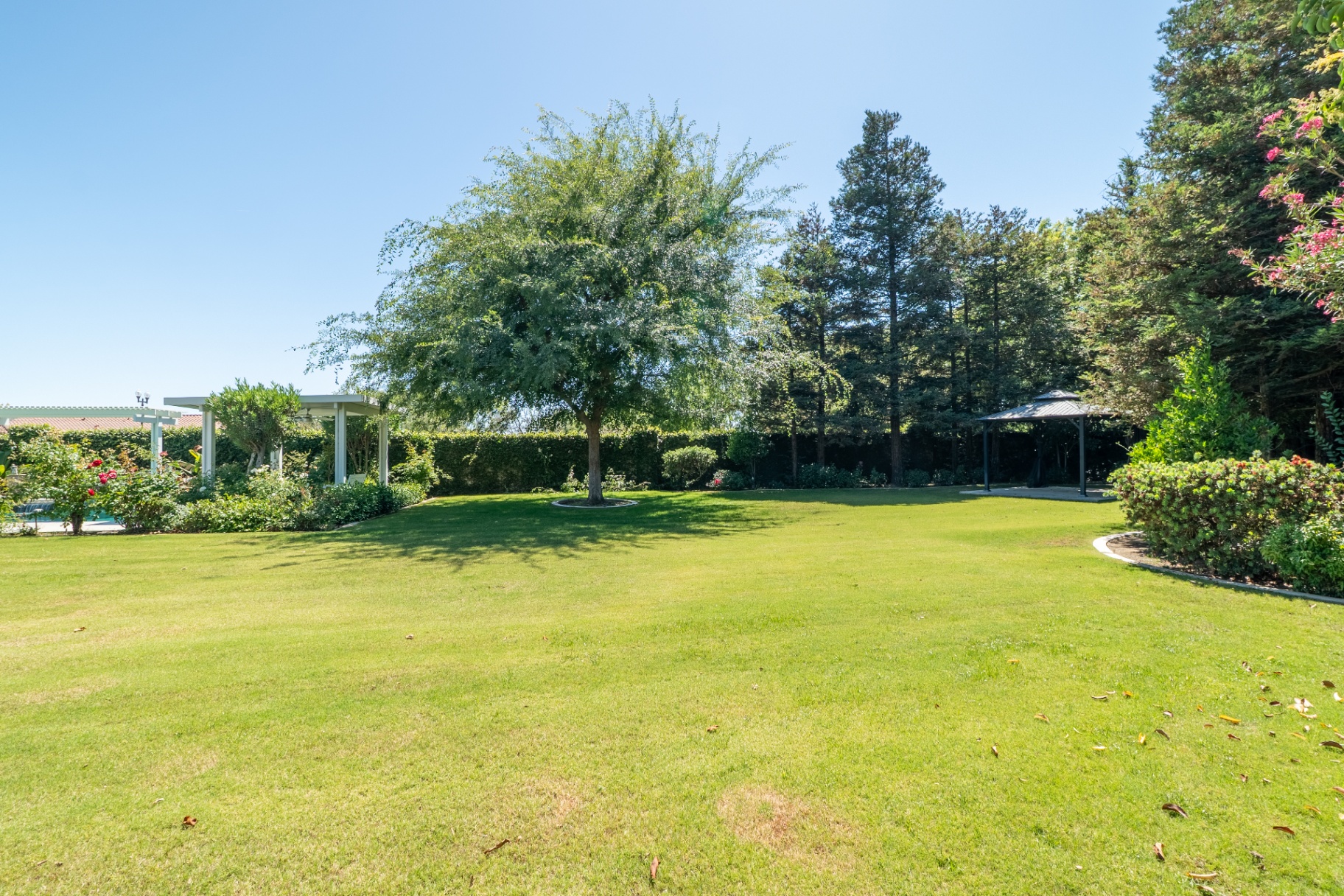 2911 Ragland Ct — 24-backyard-lawn-wide.jpg